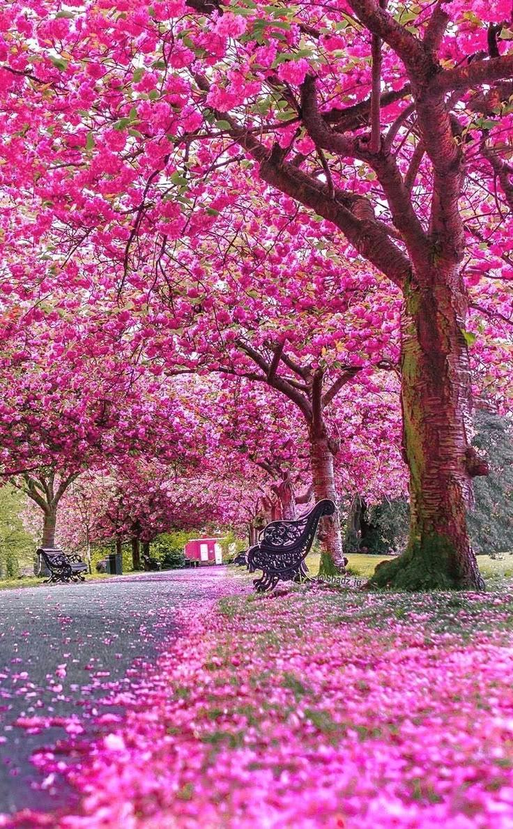 Eternal Elegance in Blooms Bounty